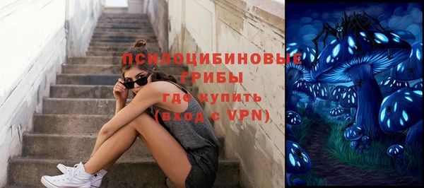 прущая мука Михайлов