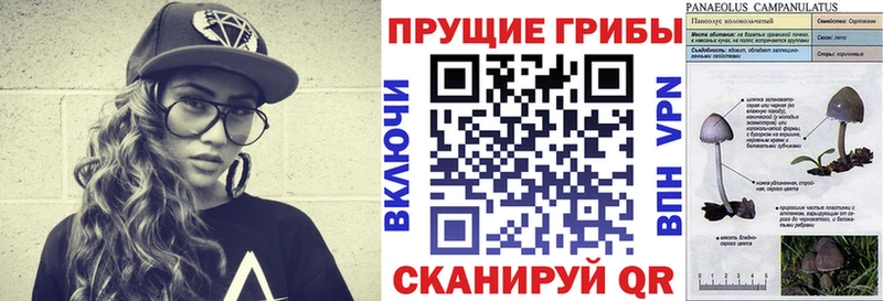 Галлюциногенные грибы Magic Shrooms  Купить где  Петровск-Забайкальский 